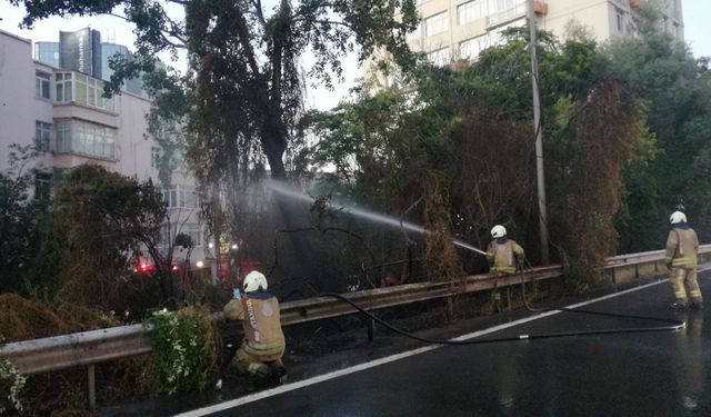 Şişli'de ağaçlık alanda çıkan yangın söndürüldü