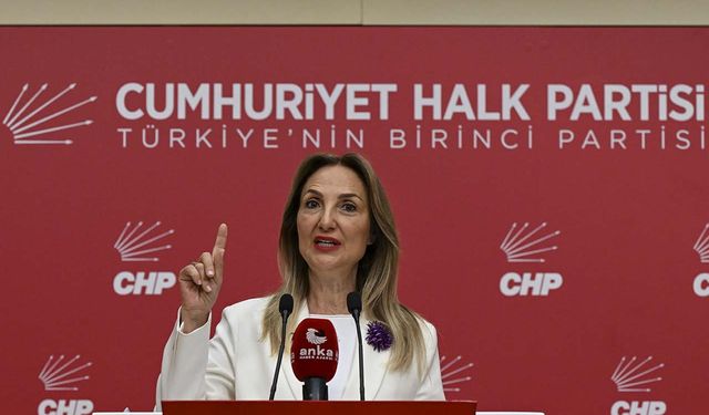 CHP Genel Başkan Yardımcısı Nazlıaka, yarım zamanlı çalışma hakkına ilişkin basın toplantısı düzenledi
