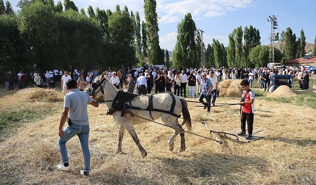 "6. Harman Festivali" başladı