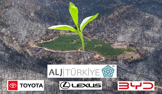 ALJ Türkiye'den dev ağaçlandırma seferberliği