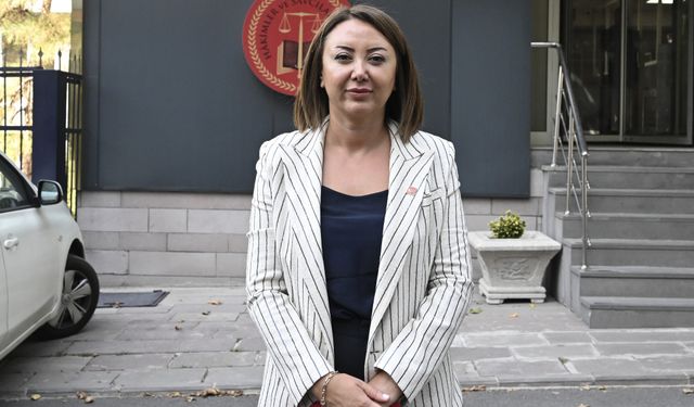 CHP'den HSK'ye başvuru