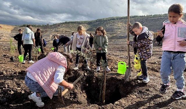 Türkiye’nin en büyük maden sahasında zeytin fidanları toprakla buluştu