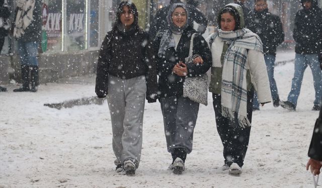 Ağrı'da kar yağışı etkili oldu