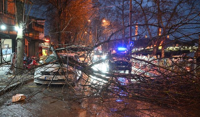 Edirne'de fırtına etkili oluyor