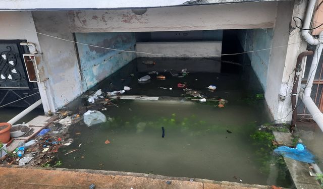 Kocaeli ve Düzce'de şiddetli rüzgar hayatı olumsuz etkiledi