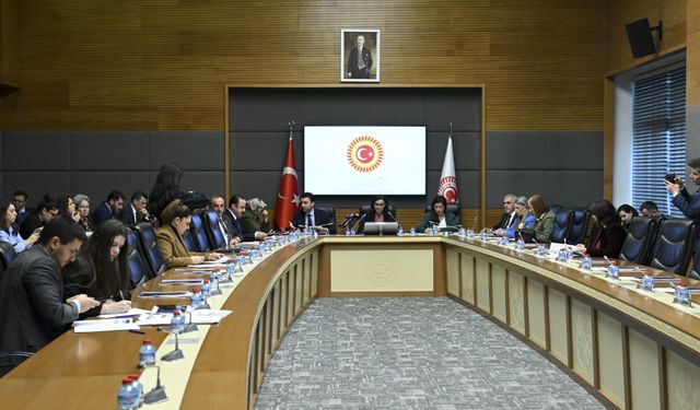 TBMM Suça Sürüklenen Çocuklara İlişkin Araştırma Komisyonu toplandı