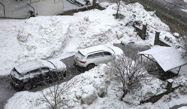 Bitlis'te kar etkili oldu