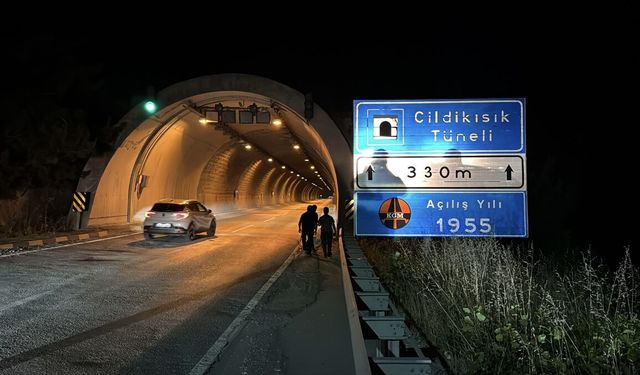 Karabük'te tünelde otomobilin çarptığı bozayı yaralandı