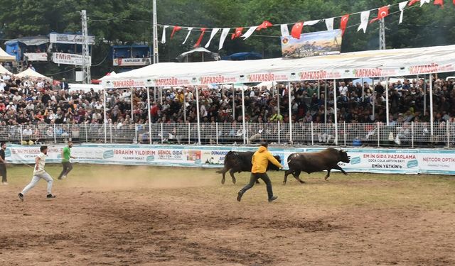 Artvin'de 45. Kafkasör Kültür, Turizm ve Sanat Festivali sona erdi