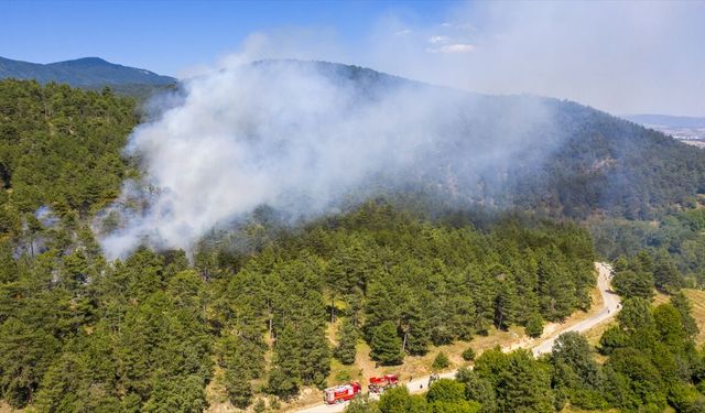 Bolu'da çıkan orman yangını kontrol altına alındı