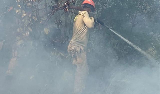 Kaş'ta çıkan orman yangını kontrol altına alındı
