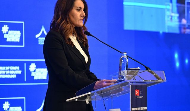 Ankara'da IPA II Dönemi Kapanış Konferansı yapıldı