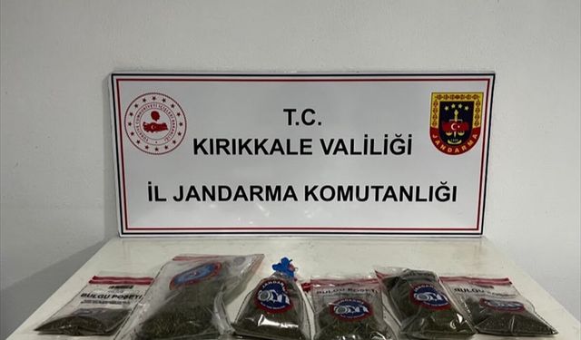 Kırıkkale'de evinin bahçesinde kenevir bitkisi yetiştiren zanlı gözaltına alındı