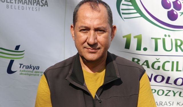 Türkiye'nin asma yaprağı ihracatında Tekirdağ, Manisa ve Tokat öne çıkıyor