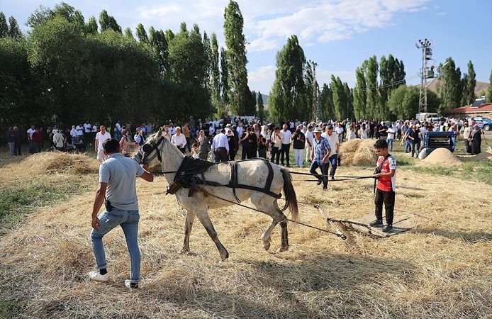 "6. Harman Festivali" başladı