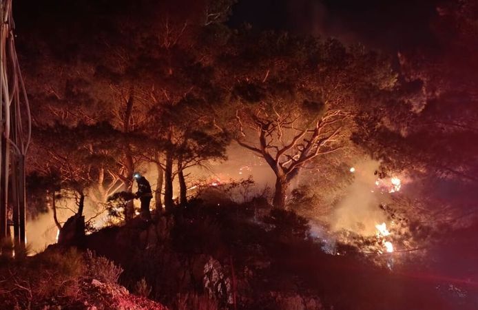 Bodrum'da ormanlık alanda çıkan yangın söndürüldü