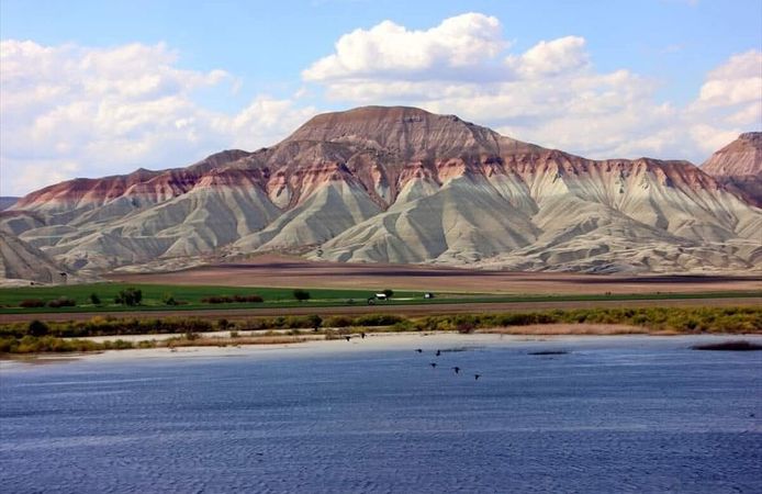 Nallıhan Kuş Cenneti göçmen kuşlarla şenlendi