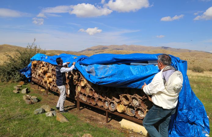 Bitlis'te karakovan balı hasadı sürüyor