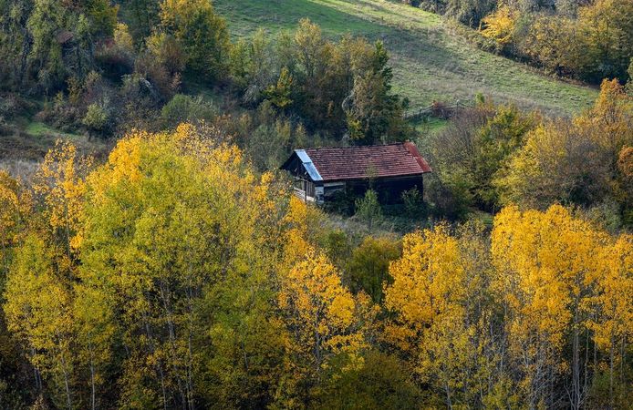 Kastamonu ormanlarında sonbaharın renk şöleni yaşanıyor