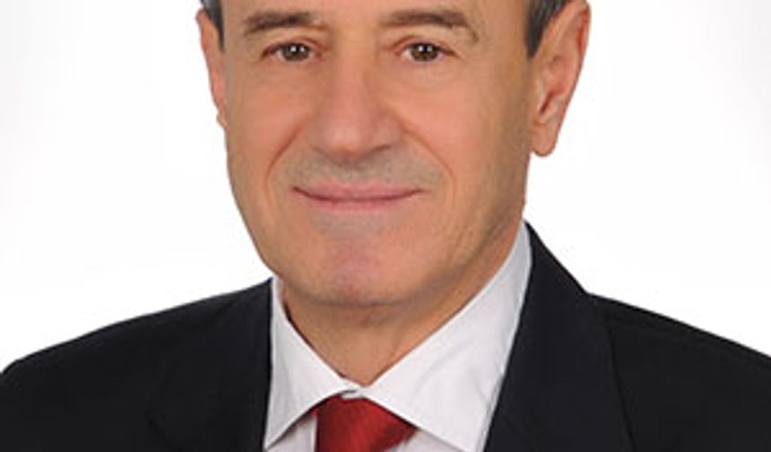 Yönetim Danışmanlığı’nın Ülkemizdeki durumu