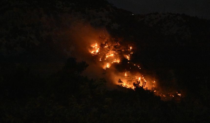 İzmir’de çıkan orman yangını kontrol altına alındı