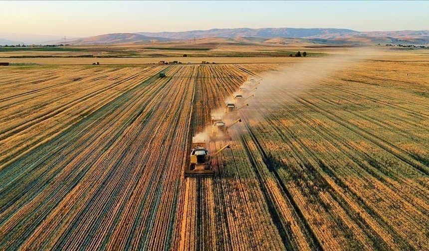 Tarım ve Orman Bakanlığından 33 soruda planlı üretim rehberi