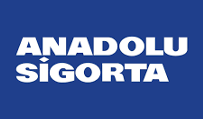 Anadolu Sigorta  2025 yılının birinci çeyreğinde 2,3 milyar TL kâr elde etti