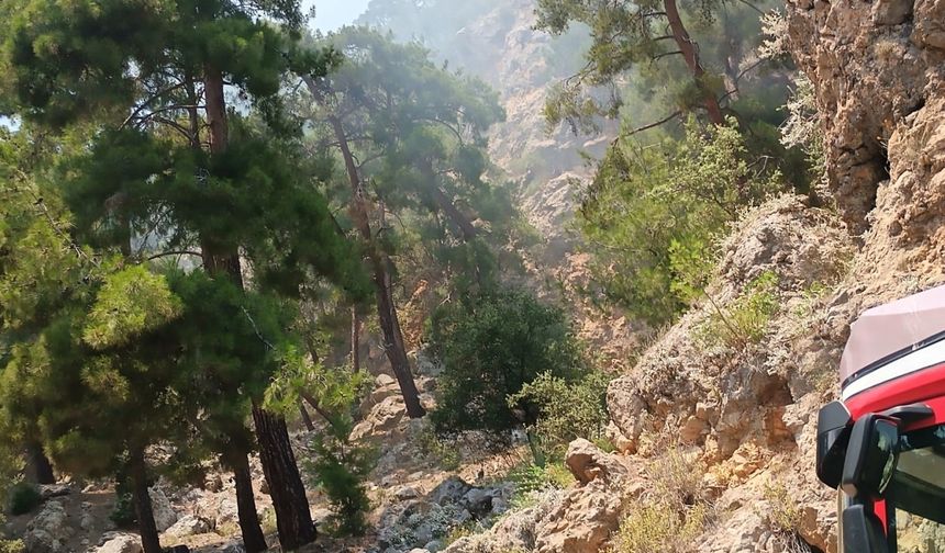 Antalya'da otobüste başlayıp ormana sıçrayan yangın söndürüldü