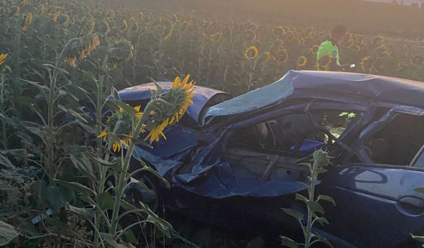 Balıkesir'de ayçiçeği tarlasına devrilen otomobildeki 3 kişi yaralandı