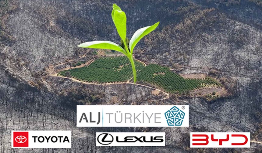 ALJ Türkiye'den dev ağaçlandırma seferberliği