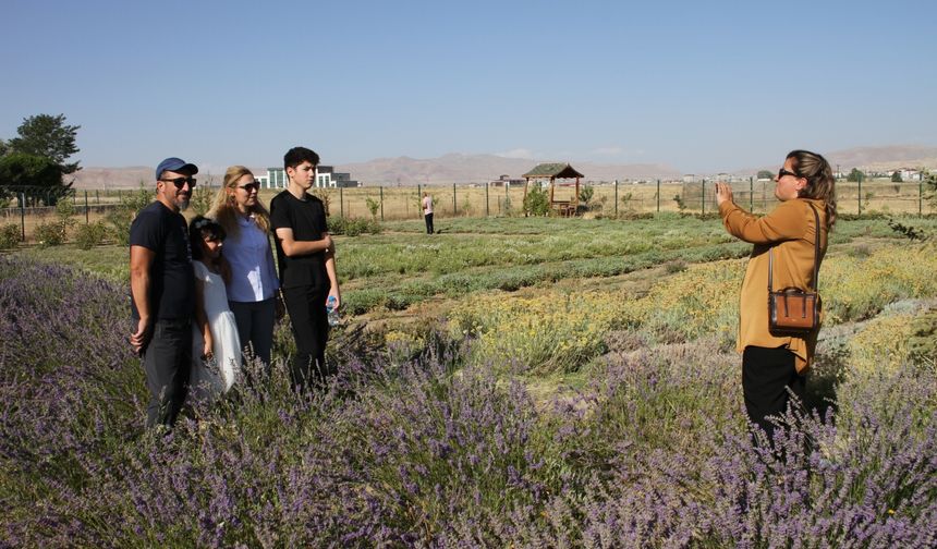 Van'da akademisyenlerin yetiştirdiği tıbbi ve aromatik bitkilerin hasadı yapıldı