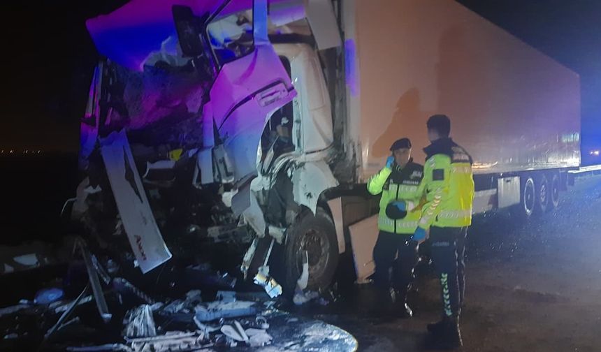 Adana'da tırın tur otobüsüne çarpması sonucu 1'i ağır 15 kişi yaralandı