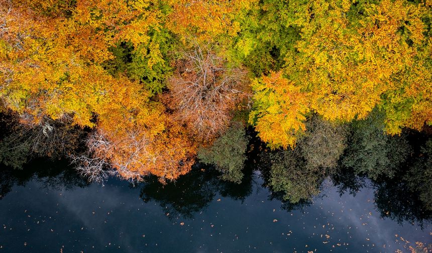 Orman denizi Yedigöller'de sonbahar renkleri
