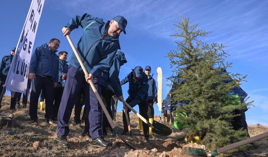 PTT AŞ 185. kuruluş yıl dönümünde 4 bin 185 fidanı toprakla buluşturdu