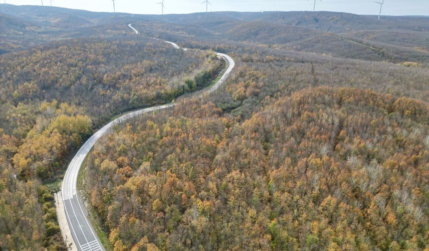 Tekirdağ'da ormanlar sonbahar renklerine büründü