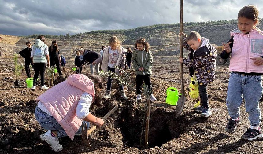 Türkiye’nin en büyük maden sahasında zeytin fidanları toprakla buluştu
