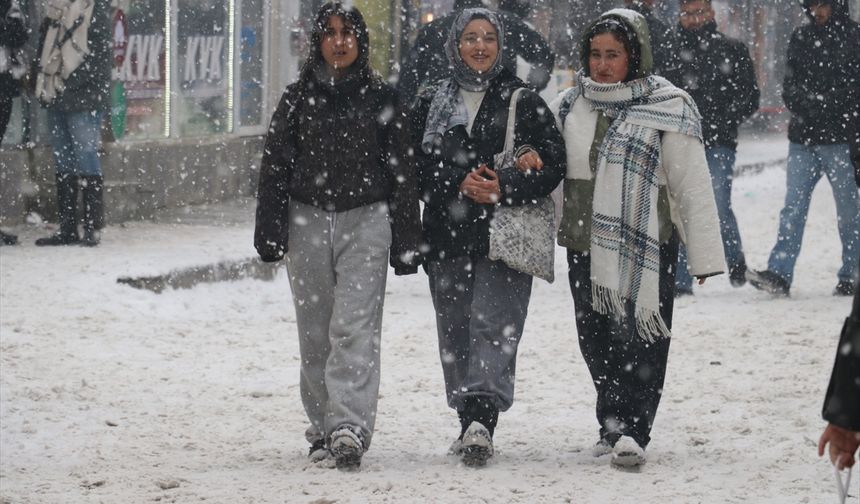 Ağrı'da kar yağışı etkili oldu