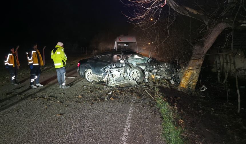 Bursa'da ağaca çarpan otomobildeki 2 kişi öldü, 2 kişi yaralandı