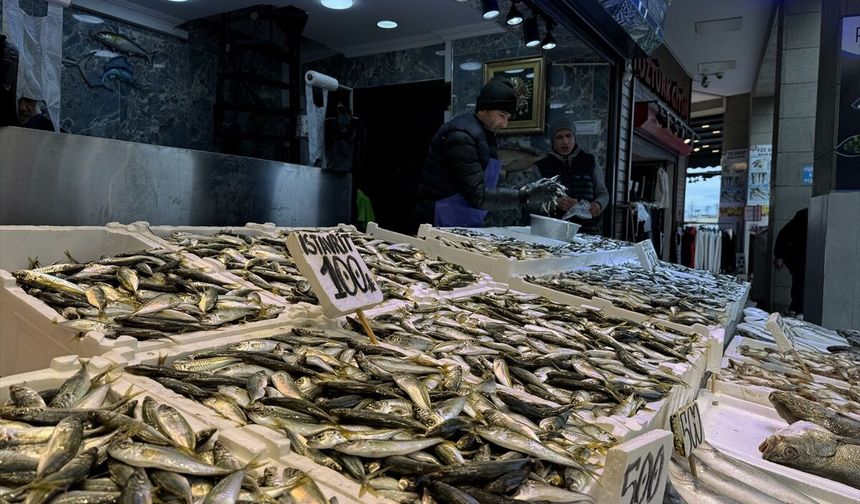 Trabzon'da balıkçı tezgahlarında hamsi ve istavrit ilgi görüyor