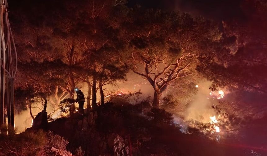 Bodrum'da ormanlık alanda çıkan yangın söndürüldü