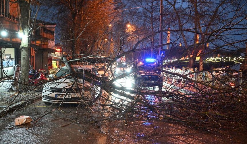 Edirne'de fırtına etkili oluyor