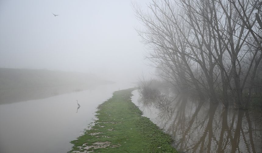 Meriç Nehri'nin debisi düşmeye başladı