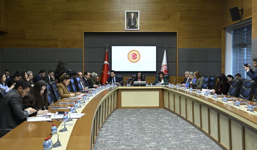TBMM Suça Sürüklenen Çocuklara İlişkin Araştırma Komisyonu toplandı