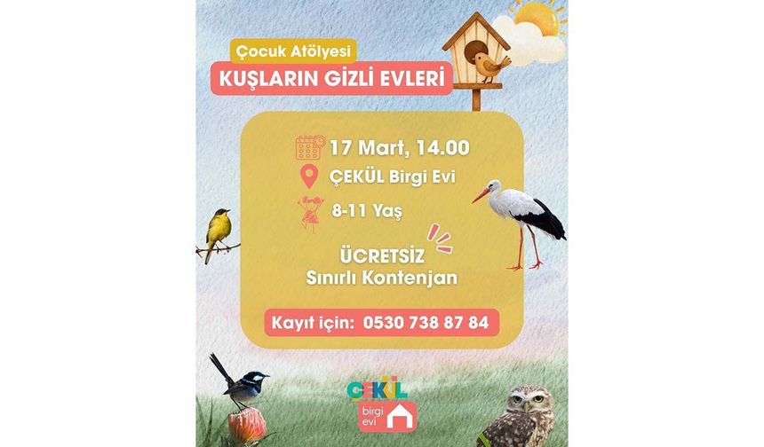 Kuşların gizli evleri