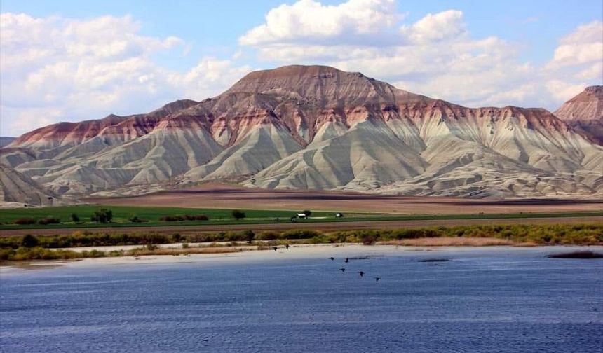 Nallıhan Kuş Cenneti göçmen kuşlarla şenlendi