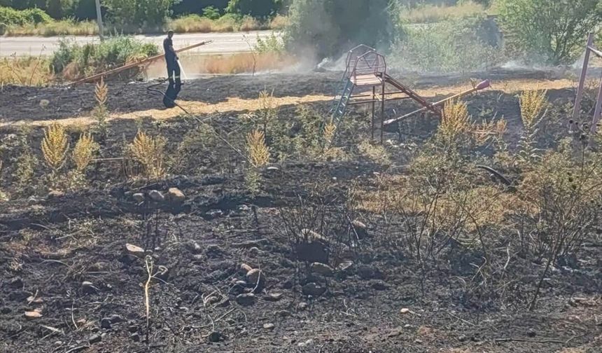 Afyonkarahisar'da çıkan örtü yangını söndürüldü