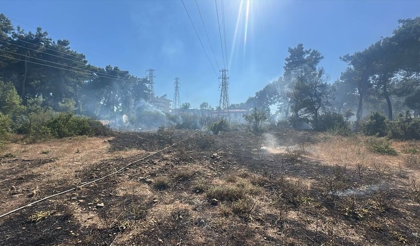 Antalya'da çıkan orman yangınında 3 dönüm alan zarar gördü