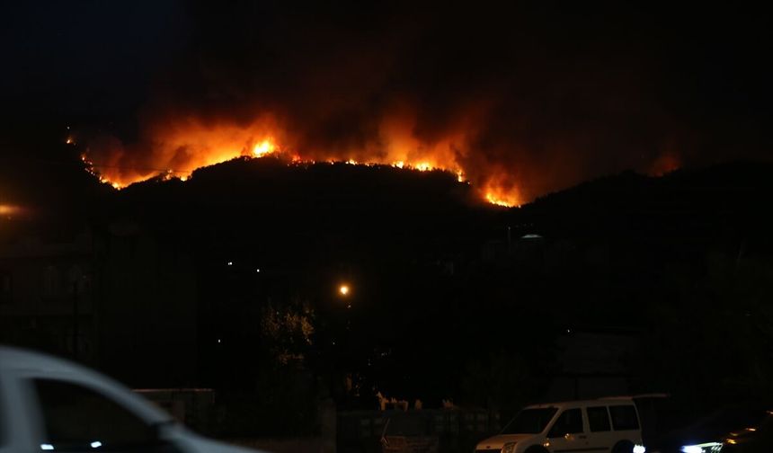 Aydın'ın Çine ilçesindeki orman yangını sürüyor