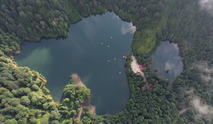 Borçka Karagöl Tabiat Parkı'nda ziyaretçi yoğunluğu yaşanıyor