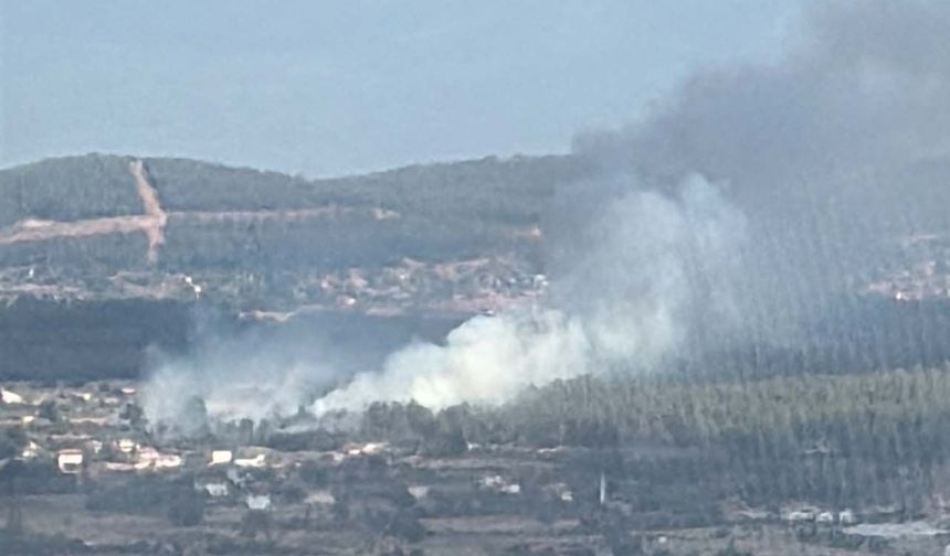 Muğla'da çıkan orman yangınına müdahale ediliyor
